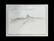 SecondArt203