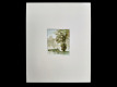 SecondArt207